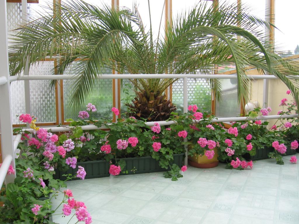 Csaladi Vendeghaz Apartment Eger Exterior photo